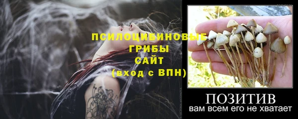 мдма Заводоуковск