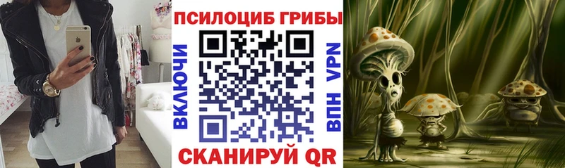 сколько стоит  маркетплейс какой сайт  МЕГА рабочий сайт  Галлюциногенные грибы мухоморы  Динская 
